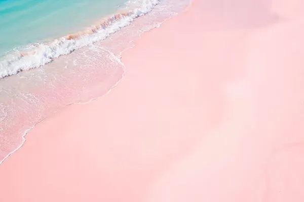 Pink Beach Lombok Tour: Discover the Island's Blush-Tinted Coastal Beauty