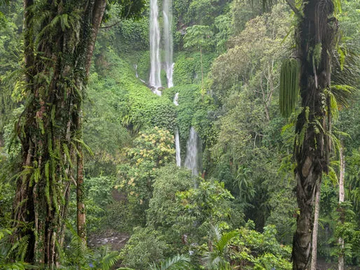 Tiup Kelep Waterfall: Hidden Paradise of North Lombok