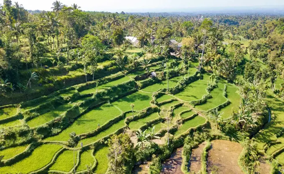 Tetebatu & Sukarara
